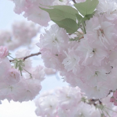 兽设毛发刻画细节FurryQQ群